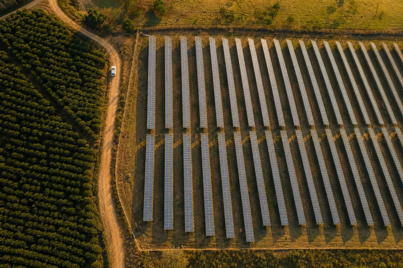 Como ler o extrato de compensação de energia na fatura